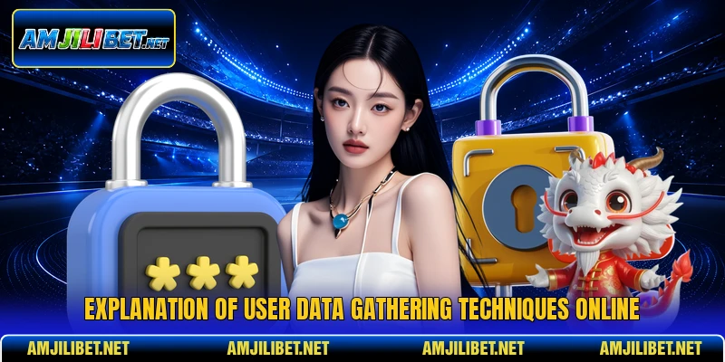 Explanation of user data gathering techniques online