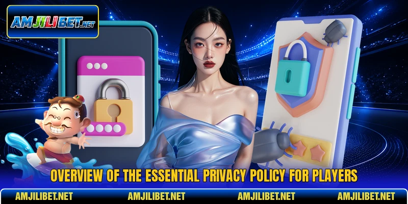 Overview of the essential privacy policy for players