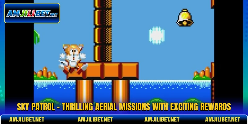 Sky Patrol - Thrilling Aerial Missions With Exciting Rewards